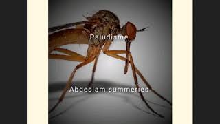 Le Paludisme et cycle évolutif Malaria [upl. by Juliano513]