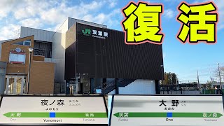 【常磐線全線復活】復活した常磐線の3駅に行ってきた。 [upl. by Esikram]