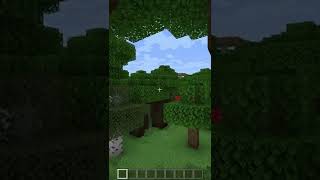 How to get spectator mode  Minecraft Bedrock shorts [upl. by Cantlon414]