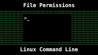 Linux File Permissions [upl. by Yardley]