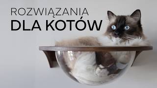 ROZWIĄZANIA DLA KOTÓW  Drapak kuweta osiatkowanie balkonu 😻 [upl. by Bierman]