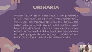 ANATOMI GINJAL DAN SISTEM URINARIA [upl. by Srednas983]