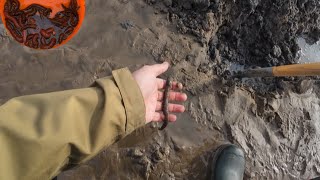 Digging lugworm for cod fishing [upl. by Durwood]