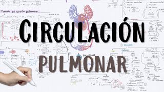 CIRCULACIÓN PULMONAR HIPERTENSIÓN PULMONAR [upl. by Nwahsiek]