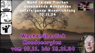 Wochenüberblick der Mondenergien vom 1011 bis 161124 [upl. by Adran]