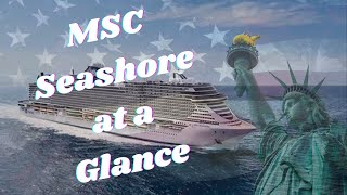 MSC Seashore at a Glance cruisevloggers cruisetime cruiseline cruiselovers itscruiseday [upl. by Mary192]