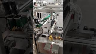 Snack Pack Sorting  Servo Collating  Box Cartoner sortingsystem secondarypackaging [upl. by Gellman]