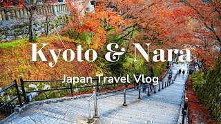 Trip to Kyoto amp Nara  First Time in Japan 🇯🇵  Travel Vlog [upl. by Swithbert]