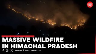 Himachal Pradesh Wildfire  Fire breaks out at forest in Kullu [upl. by Malory345]