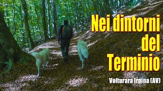 Nei dintorni del Terminio  Volturara Irpina AV [upl. by Idnek]