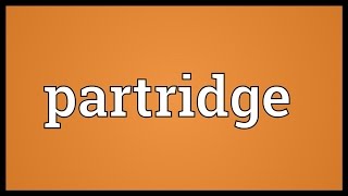 Partridge Meaning [upl. by Dnomde]