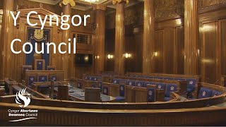 Swansea Council  Council 21 March 2024 [upl. by Salsbury11]