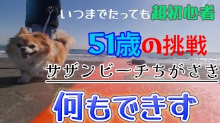 【超初心者51才のサーフィン 51】1度も乗れず（汗）2024212 [upl. by Damalis]