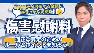 「傷害慰謝料」について知ろう｜算定の基準・ルール・交渉のポイントを弁護士が解説！ [upl. by Broadbent]