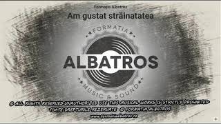 Formația Albatros  Am gustat străinatatea  Muzica romaneasca veche Muzica anilor 90 [upl. by Grimonia]