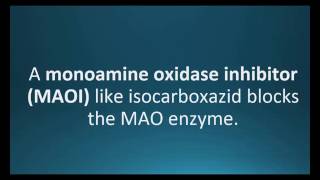 monoamine oxidase inhibitor Pharmcabulary for Memorizing Pharmacology Chapter 5 Neuro Flashcard [upl. by Oyek191]