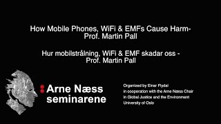 Hur mobilstrålning WiFi amp EMF skadar oss Prof Martin Pall  How WiFi amp EMFs Cause Harm [upl. by Scornik]