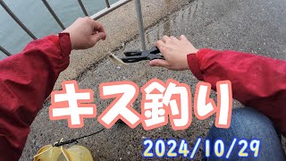 【愛知県釣り】20241029 知多半島 美浜町＃227 [upl. by Erl]