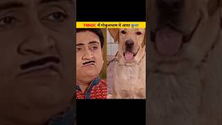 Tmkoc ka kutaa jethalal bi like 😱tmkoc short [upl. by Johnsten146]