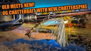 Fishing The Original Chatterbait with new ZMan ChatterShad for Fall Bass [upl. by Ilonka]