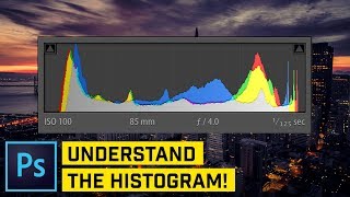 Understand the Histogram VERY IMPORTANT [upl. by Acirderf761]