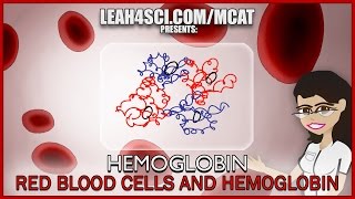 Hemoglobin Oxygen Binding and Red Blood Cells MCAT tutorial Part 1 [upl. by Bevvy22]