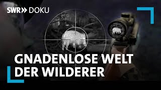 Krieg im Forst Die gnadenlose Welt der Wilderer  SWR Doku [upl. by Siubhan]