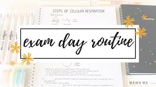 Exam Day Routine amp Tips  studytee [upl. by Sidon142]