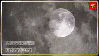 What Are the Phases of the Moon and Why Do They Change [upl. by Stilwell]