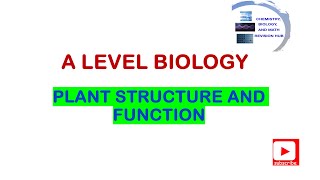 A level  Biology  Topic 4A  Plant structure and Function  Pearson Edexcel [upl. by Eladnyl]