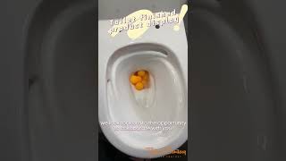 Toilet Flush Testing with 10 Ping Pong Balls 🏓toilet flushing shortsvideo [upl. by Anelas]