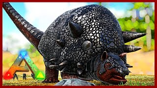 My Favorite Way To Gather Stone Doedicurus Taming The Island Map Ark Survival Evolved Ep 11 [upl. by Etty]