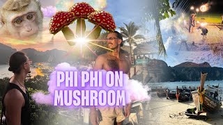 PHI PHI ON MUSHROOM BOXING MONKEYS5 GOOD THINGS [upl. by Eoj]