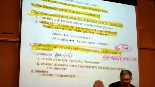 CHLOROPHYLL RHODOPSIN amp VISION PHOTOSYNTHESIS PART 2 by Professor Fink [upl. by Adnaw]