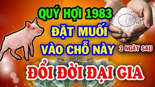 Hé Lộ Chấn Động Quý Hợi 1983 Rắc Muối Vào Đây Đúng 3 Ngày Sau ĐỔI ĐỜI Giàu To Tiền Nhét Nứt Két [upl. by Jay]