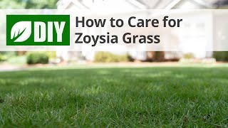 How to Care for Zoysia Grass  DoMyOwncom [upl. by Notgnimer]