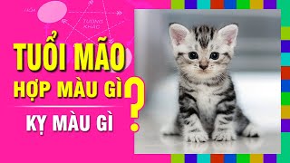 TUỔI MÃO Hợp MÀU GÌ Kỵ Màu Nào Nhất Chọn Màu Sắc Đúng Phong Thủy Để Đón May Mắn [upl. by Rimas]