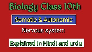 quotSomatic amp Autonomic Nervous System – The Power of Control Explained in Hindi and urdu [upl. by Kcirevam]