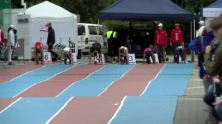 Final Swiss Athletics Sprint 2016 Final M15 [upl. by Paule966]