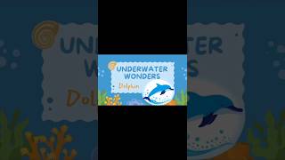 Short story for kids Aquatic animal story Dolphin 🐬 story for nursery learning kids [upl. by Pedaiah]