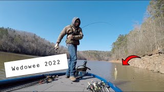 Lake Wedowee Fishing 2022 Bass Dogs amp Rocks [upl. by Aramot]