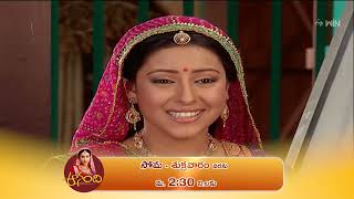 quotAnandhiquot Promo  16th August 2024  monfri  230 PM only on ETV Plus Channel [upl. by Eiramyelhsa974]