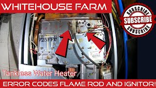 Flame Rod amp Ignitor Rinnai Tankless Water Heater Code 12 Fix DIY [upl. by Nnairak]