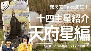 【教えてTaka先生！】紫微斗数 十四主星紹介⑦天府星（てんぷせい）編 紫微斗数 [upl. by Okwu]