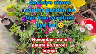 Mere winter flower plant ki shopping ll November me kon se plant laga sakte hai ll winter flower [upl. by Burg]