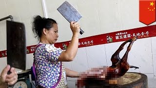 Dog meat festival in China causes uproar among animal rights activists  TomoNews [upl. by Naamann]