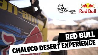 Red Bull Chaleco Desert Experience 2024 by Atacama Rides [upl. by Elakram]