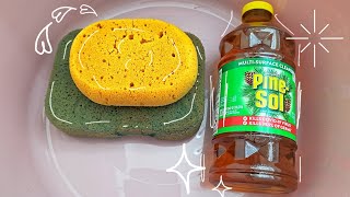 The Most Requested Video \ PineSol Sponge Squeezing✨️ TheArtOfFoam [upl. by Yannodrahc]