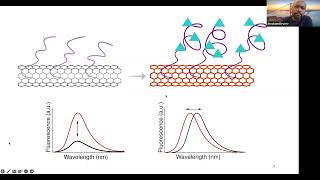 Abraham Beyene quotImaging neuronal chemical efflux using DNAcarbon nanotube hybrid materialsquot [upl. by Elleniad]