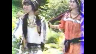 Danse Kabyle instrumental Madjid BOUKRIF [upl. by Adyol]